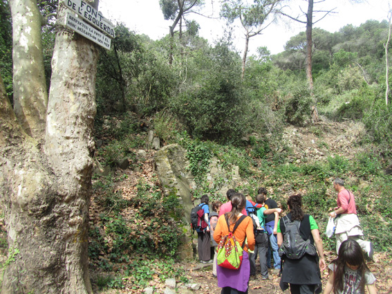 Passeig per les fonts
