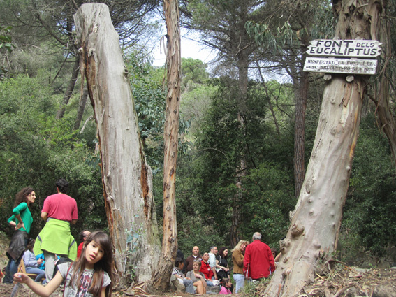 Passeig per les fonts
