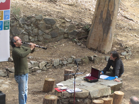 Poesia als parcs
