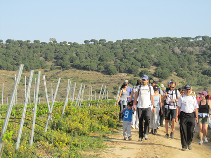 VI Caminada dels Tres Pobles