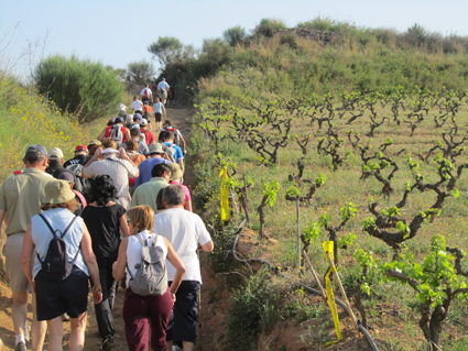 VI Caminada dels Tres Pobles