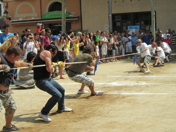 Campionat de Tibada de llibant