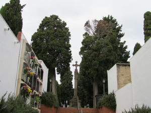 Cementiri municipal