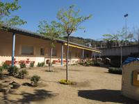 Els Pinyons