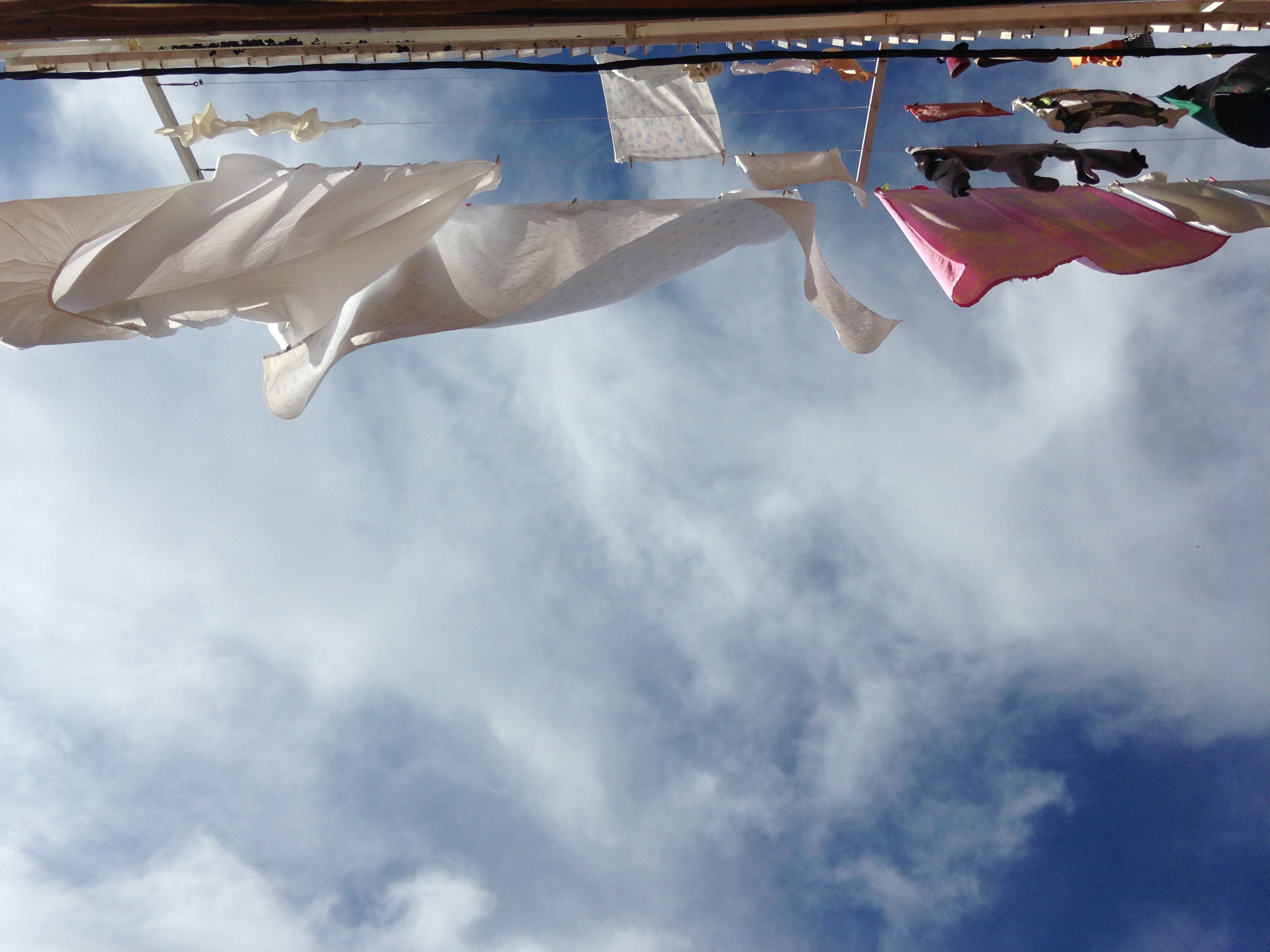 Exposició gener Can Manyé Exposició gener Can Manyé