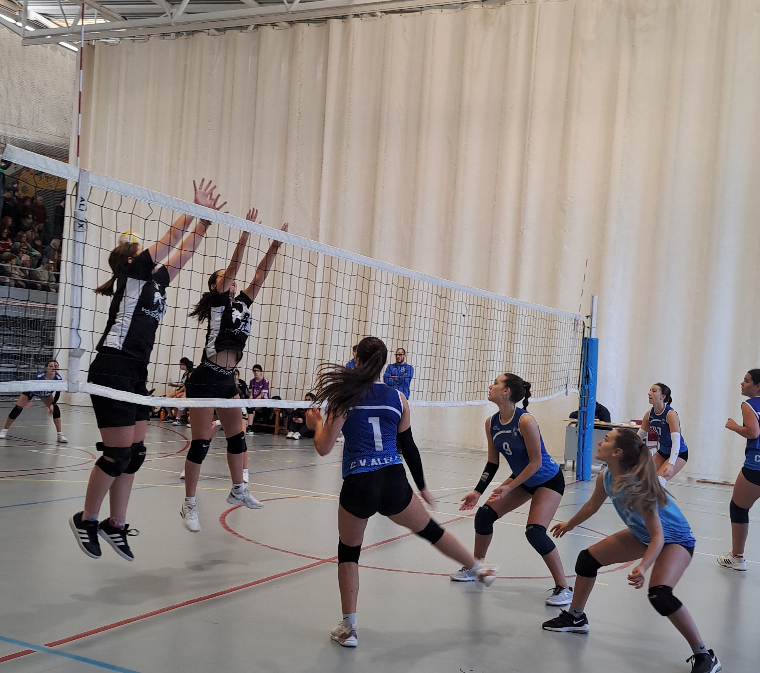 Volei femení Volei femení