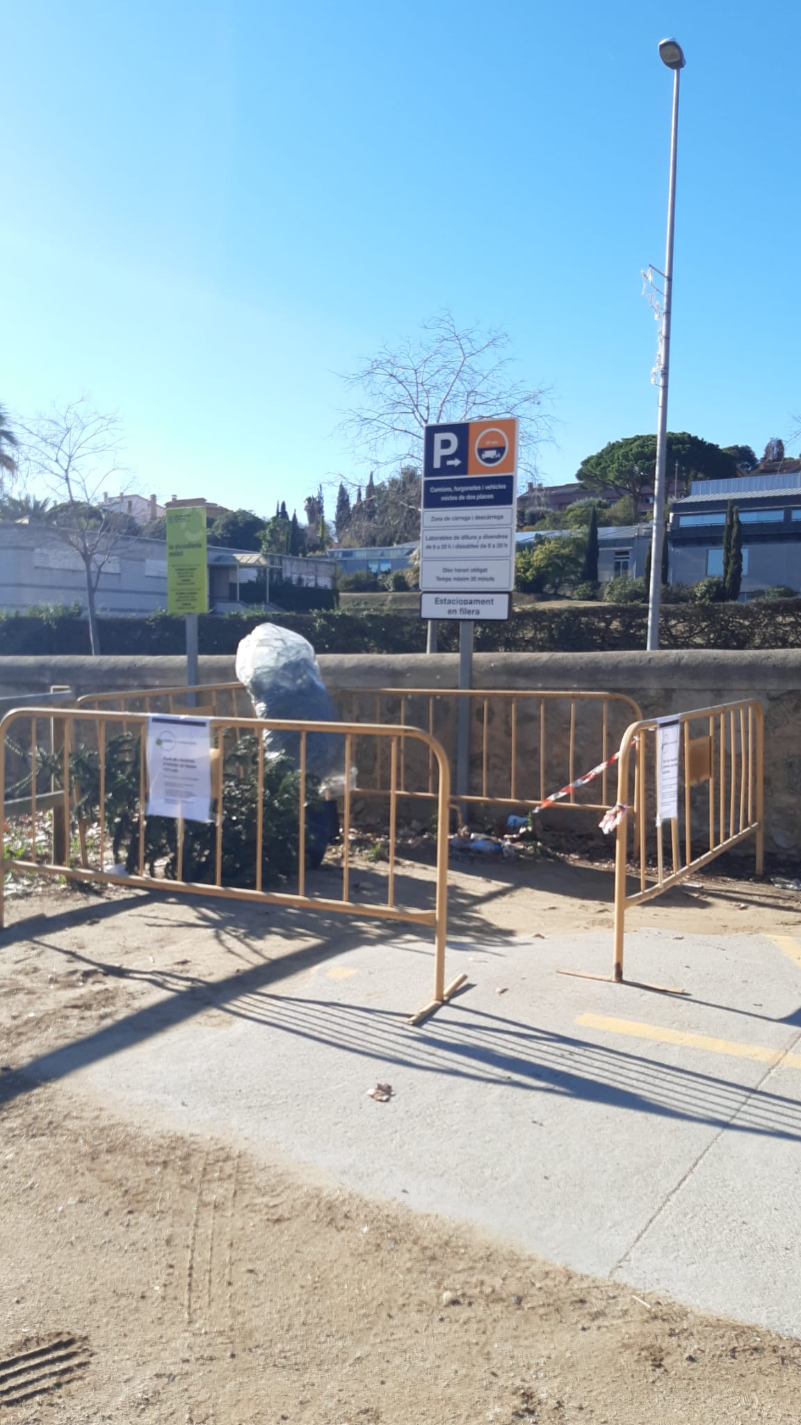 Recollida d'arbres Recollida d'arbres