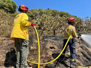 ADF en acció. Foto ADF