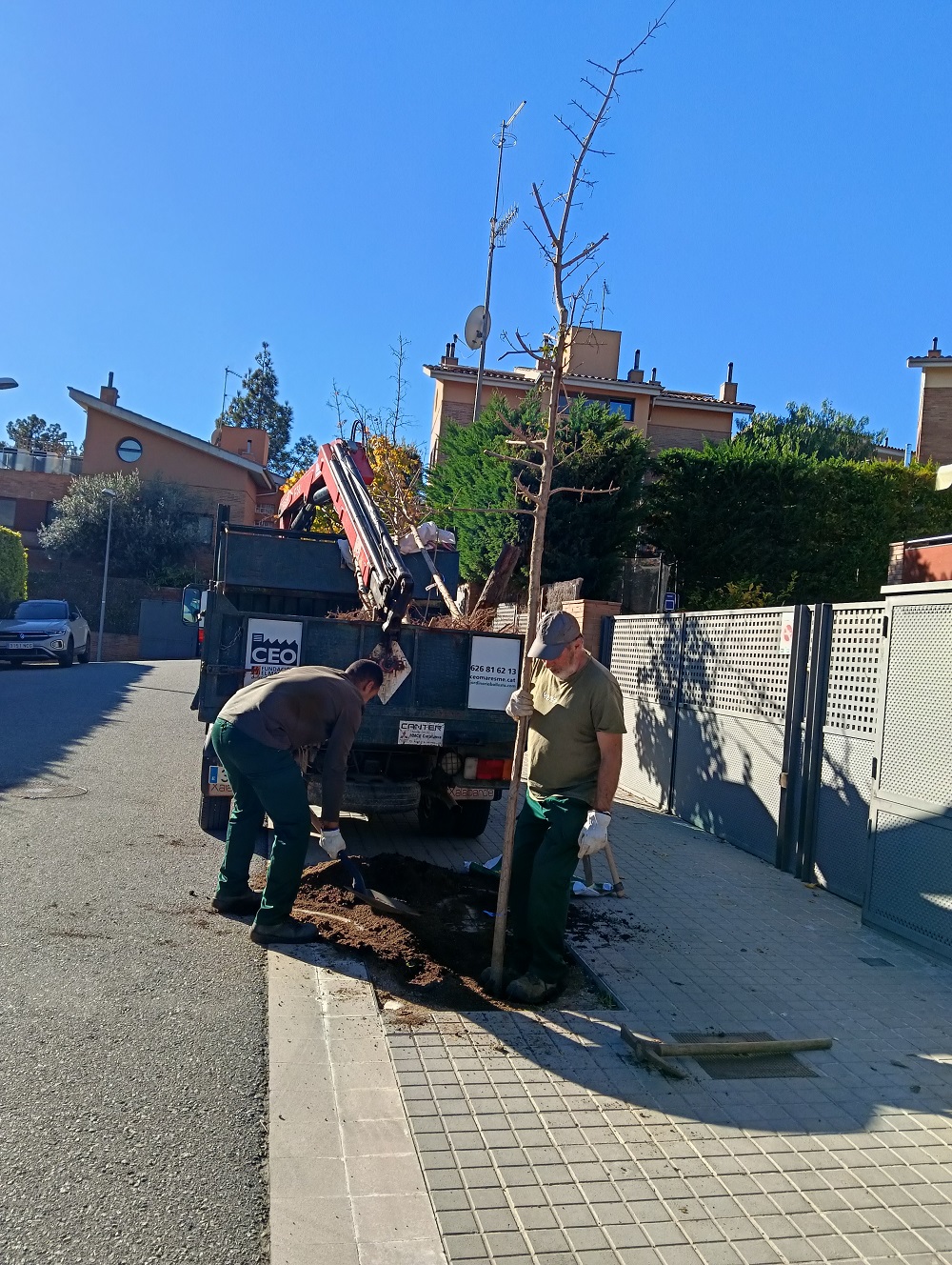 Plantada arbres Plantada arbres