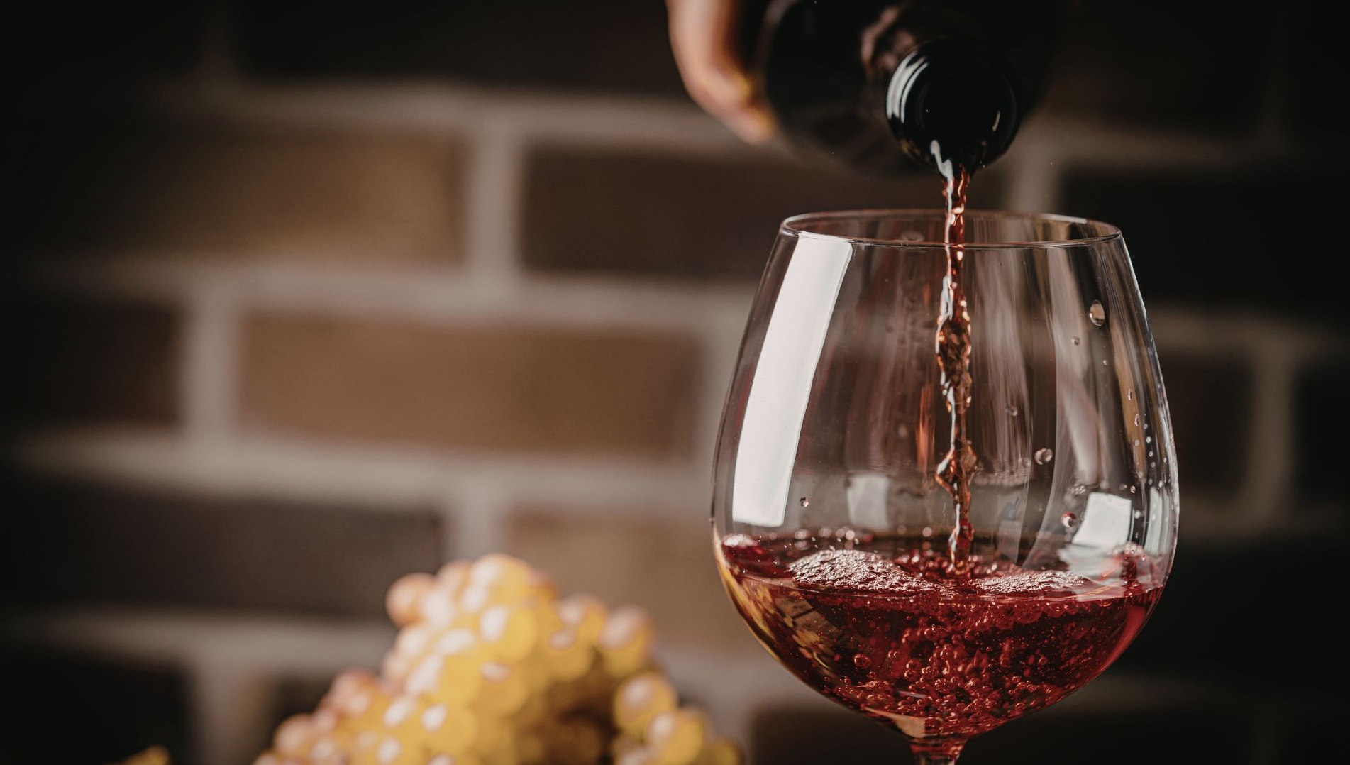 Vino Vino