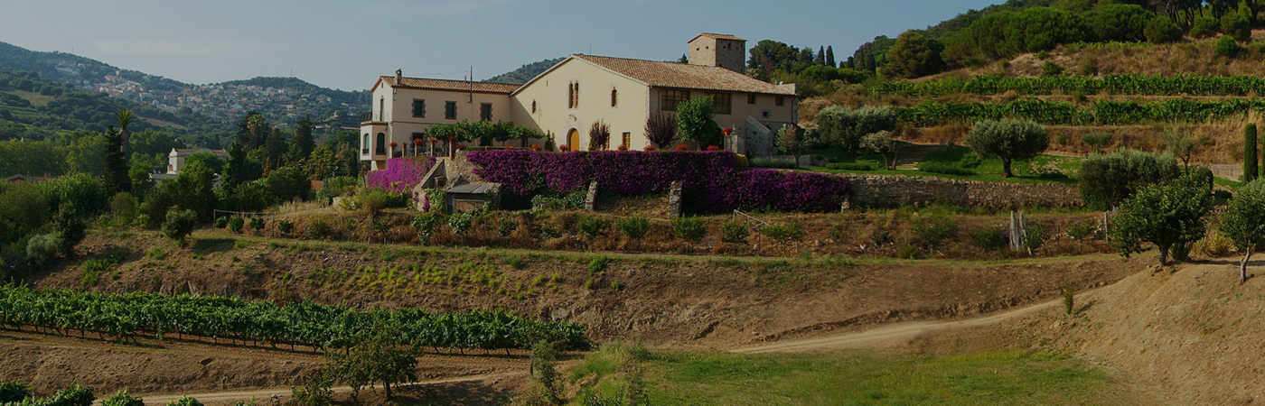 Els cellers d'Alella Els cellers d'Alella