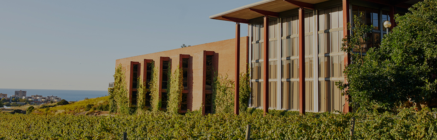 Els cellers d'Alella Els cellers d'Alella