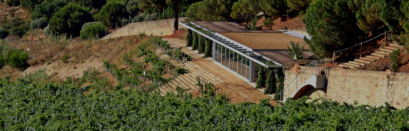 Els cellers d'Alella Els cellers d'Alella