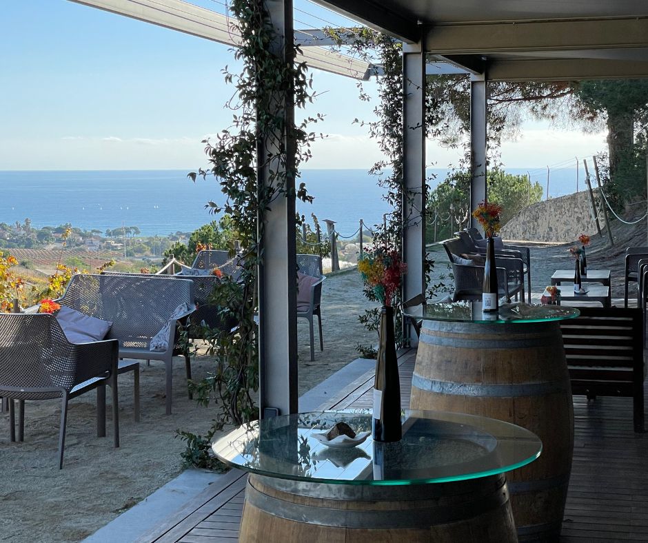 Wine Bar Wine Bar