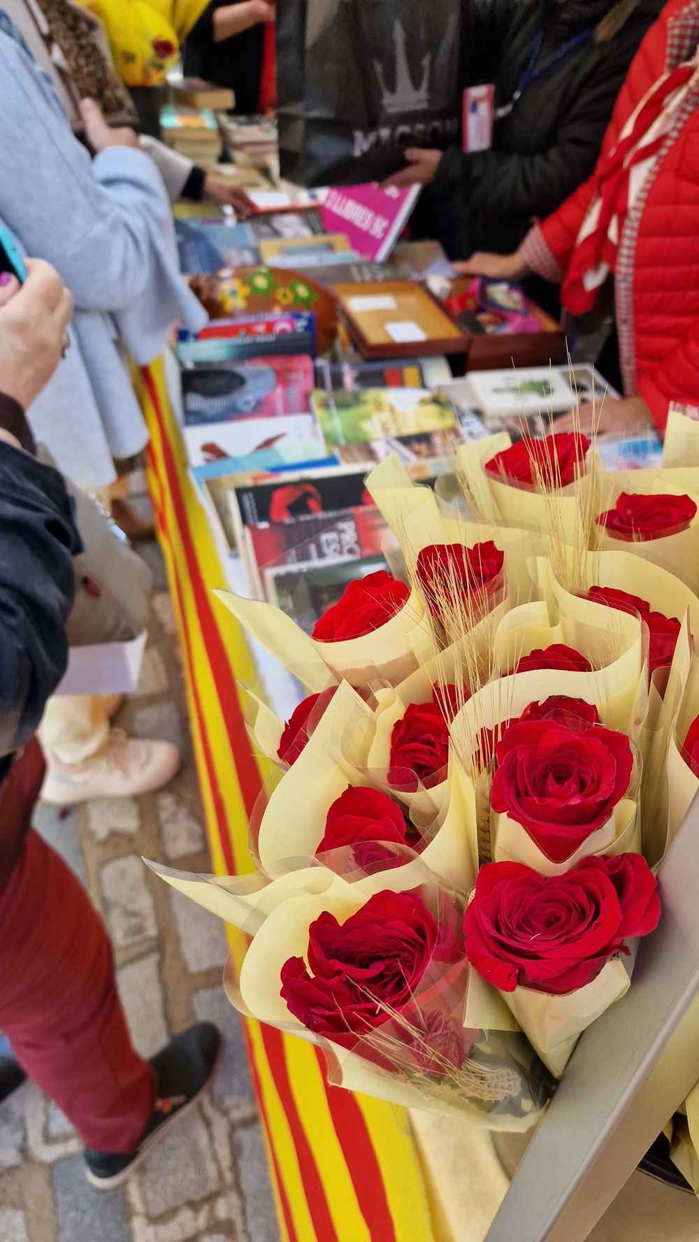 Sant Jordi Sant Jordi
