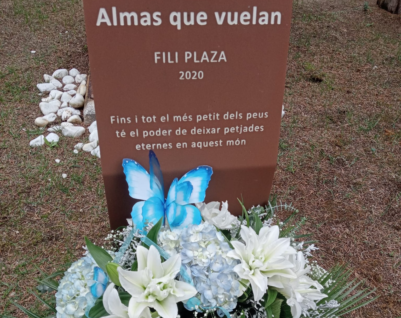 Dia Dol perinatal Dia Dol perinatal