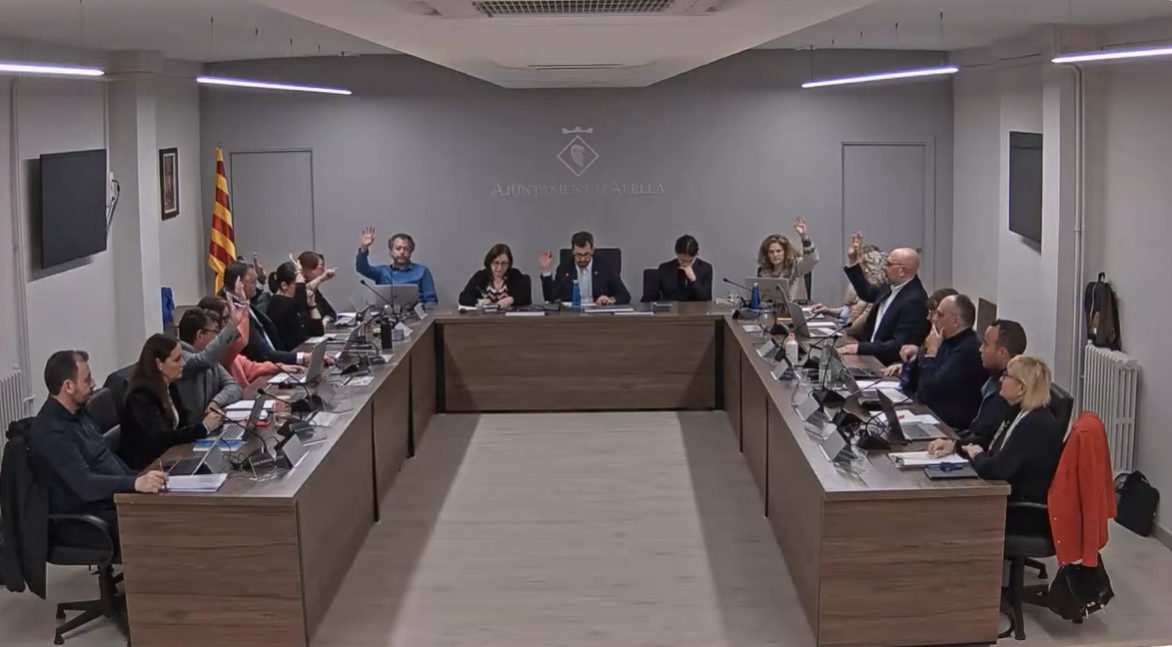 Ple febrer 2026 Ple febrer 2026